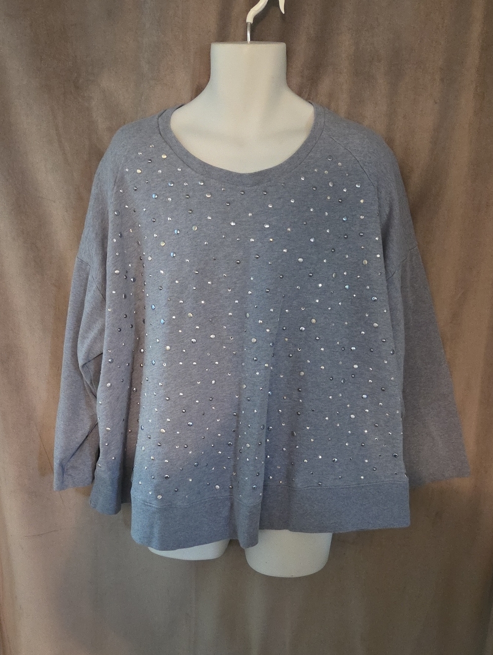 DG2 by Diane Gilman Size 3X Light Gray/blue Embellished Crewneck Sweater